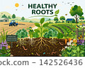Healthy roots soil flat vector regenerative agriculture 142526436