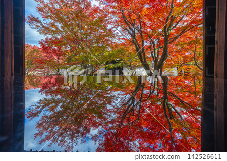 Autumn in Kyoto: Myokakuji Temple (Myokakuji) - Hosshi-en Garden surrounded by autumn leaves Autumn in Kyoto: Myokakuji Temple (Myokakuji) - Hosshi-en Garden surrounded by autumn leaves 142526611