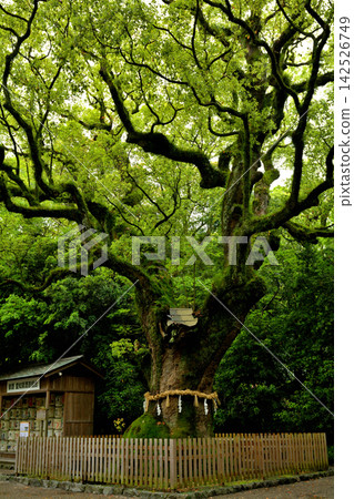 名古屋熱田神社 名古屋熱田神社 142526749
