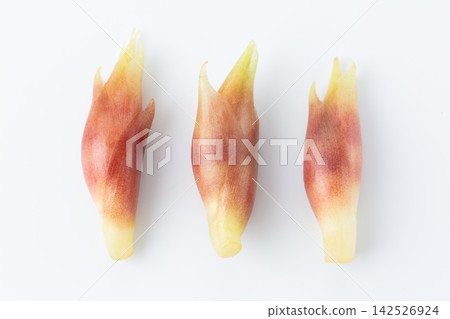 Ginger Ginger 142526924