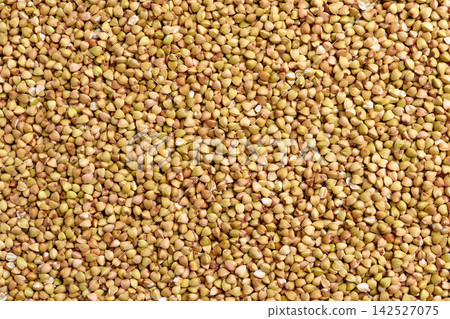 Raw green buckwheat grains texture as an abstract organic food background. Dietary nutritious ingredients 142527075