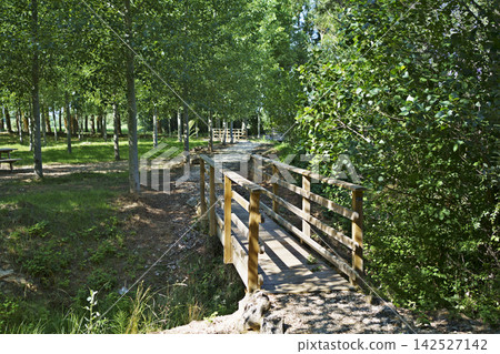 Wooden Bridge in a Lush Green Park Wooden Bridge in a Lush Green Park 142527142