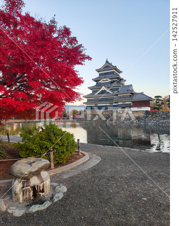 Matsumoto Castle in autumn (dawn) Matsumoto Castle in autumn (dawn) 142527911