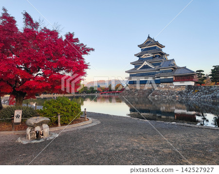 Matsumoto Castle in autumn (dawn) Matsumoto Castle in autumn (dawn) 142527927