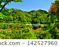 岐阜道之驛、奶奶市集、山岡 142527960