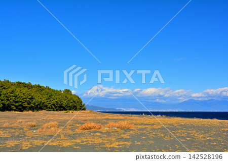 World Heritage Site, Miho no Matsubara World Heritage Site, Miho no Matsubara 142528196