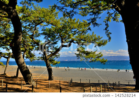 World Heritage Site, Miho no Matsubara World Heritage Site, Miho no Matsubara 142528214