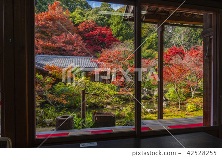 秋天的京都,實相院門跡,被秋葉包圍的風景園林 秋天的京都,實相院門跡,被秋葉包圍的風景園林 142528255