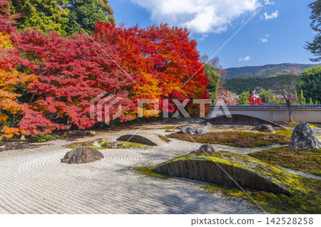 Autumn Kyoto, Jissoin Monzeki, “Garden of the Heart” covered in autumn leaves Autumn Kyoto, Jissoin Monzeki, “Garden of the Heart” covered in autumn leaves 142528258