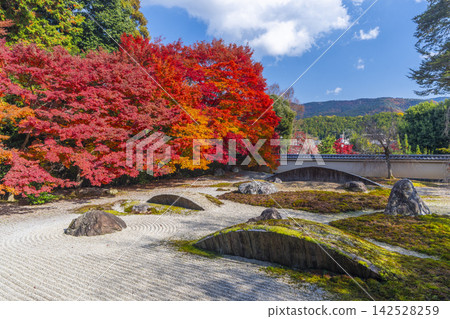 Autumn Kyoto, Jissoin Monzeki, “Garden of the Heart” covered in autumn leaves Autumn Kyoto, Jissoin Monzeki, “Garden of the Heart” covered in autumn leaves 142528259