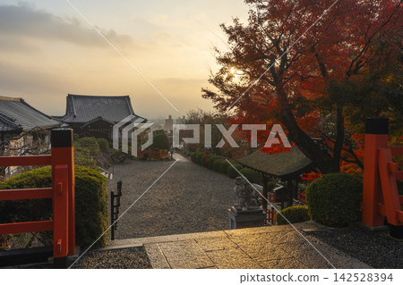 Funaokayama, Kyoto in autumn, maple trees at Kenkun Shrine bathed in the morning sun Funaokayama, Kyoto in autumn, maple trees at Kenkun Shrine bathed in the morning sun 142528394