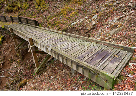 Wooden bridge on the ridge trail near Nihonsugi Pass on the Izu Mountain Ridge Trail of the Izu Peninsula Wooden bridge on the ridge trail near Nihonsugi Pass on the Izu Mountain Ridge Trail of the Izu Peninsula 142528487