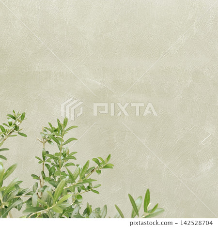 Square background image 2: A light beige wall with yellow-green olive branches and leaves in front of it. Square background image 2: A light beige wall with yellow-green olive branches and leaves in front of it. 142528704