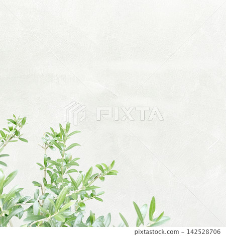 方形背景圖 2:明亮的淺綠色牆壁前方是綠色的橄欖枝和葉子。 方形背景圖 2:明亮的淺綠色牆壁前方是綠色的橄欖枝和葉子。 142528706