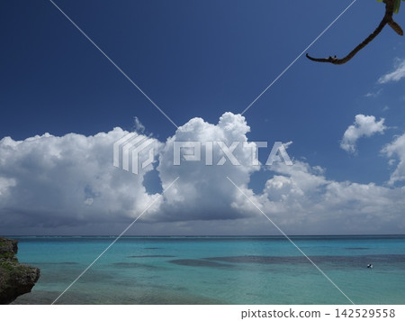 A view of the vibrant blue sky and rising white clouds from Funaksu Beach. A view of the vibrant blue sky and rising white clouds from Funaksu Beach. 142529558