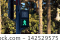 Green pedestrian traffic light showing the walk signal at an urban crosswalk.  142529575