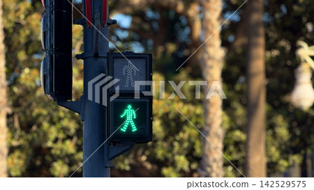 Green pedestrian traffic light showing the walk signal at an urban crosswalk. Green pedestrian traffic light showing the walk signal at an urban crosswalk. 142529575