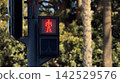 Red pedestrian traffic light showing the stop signal at an urban crosswalk 142529576