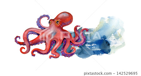 Watercolor red octopus swimming with a blue ocean wave splash sea life illustration Watercolor red octopus swimming with a blue ocean wave splash sea life illustration 142529695