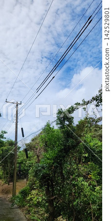I happened to look up at the blue sky over the power lines. I happened to look up at the blue sky over the power lines. 142529801