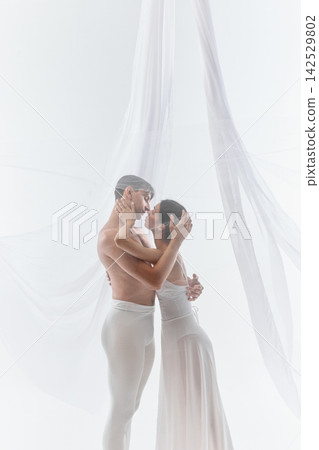Protective ballet embrace appears softly through translucent textile Protective ballet embrace appears softly through translucent textile 142529802