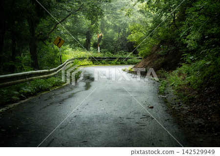 The rain-soaked road surface gleams on the narrow mountain pass and curves in the forest. The rain-soaked road surface gleams on the narrow mountain pass and curves in the forest. 142529949