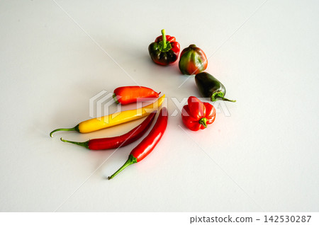 Colourful Hot and Sweet Peppers for Cooking Colourful Hot and Sweet Peppers for Cooking 142530287
