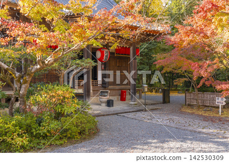 秋天的京都、赤山禪院、被秋葉包裹的本地堂(地藏堂) 秋天的京都、赤山禪院、被秋葉包裹的本地堂(地藏堂) 142530309