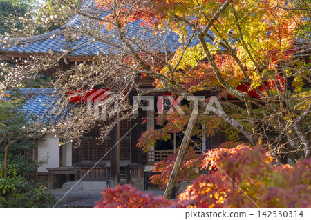 秋天的京都、赤山禪院、被秋葉包裹的本地堂（地藏堂） 142530314