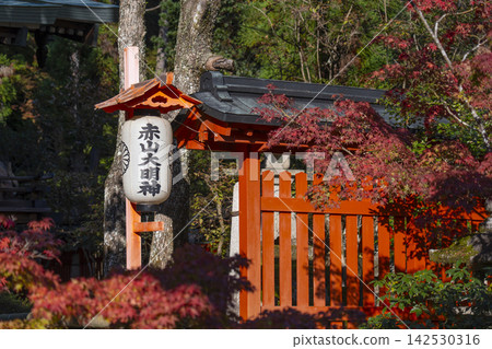 秋天的京都赤山禪院,主殿被秋葉覆蓋 秋天的京都赤山禪院,主殿被秋葉覆蓋 142530316