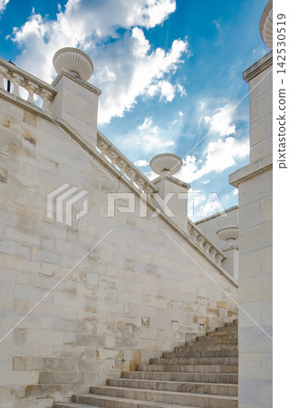 flight of stone stairs with steps outdoor flight of stone stairs with steps outdoor 142530519