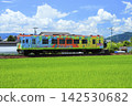 The Tarumi Railway in midsummer, with its dazzling summer sky and lush green rice fields. 142530682