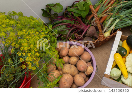 Various vegetables are arranged in baskets and boxes. The scene includes potatoes, squash, cucumbers, and greens. This is from a recent harvest in a garden 142530860