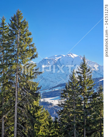 Tall evergreen pine trees frame a breathtaking winter view of the snow-covered Mont Blanc summit in the French Alps near Megeve. Clear blue sky accentuate the majestic mountainscape of Haute-Savoie Tall evergreen pine trees frame a breathtaking winter view of the snow-covered Mont Blanc summit in the French Alps near Megeve. Clear blue sky accentuate the majestic mountainscape of Haute-Savoie 142531278