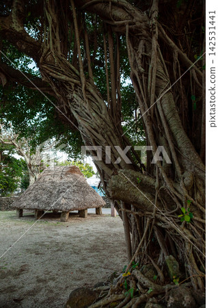 伊平屋島、島尻神社蘆上 伊平屋島、島尻神社蘆上 142531441