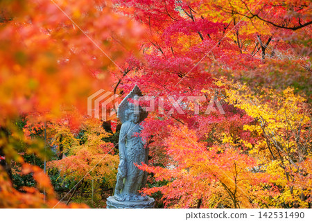 Guan Yin statue surround by fall leaf colors at Eikando temple, Kyoto Guan Yin statue surround by fall leaf colors at Eikando temple, Kyoto 142531490