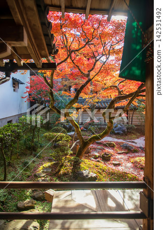 Rock garden with colorful autumn leaf at Eikan-do temple, Kyoto Rock garden with colorful autumn leaf at Eikan-do temple, Kyoto 142531492