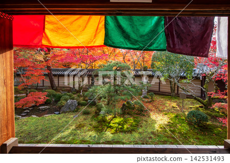 Beautiful autumn leaf garden view from inside Eikando temple, Kyoto Beautiful autumn leaf garden view from inside Eikando temple, Kyoto 142531493
