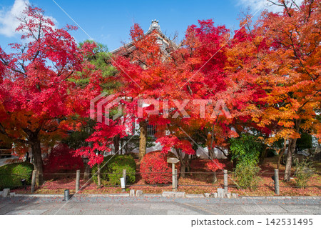 Colorful fall foliage garden at Eikando Zenrinji temple, Kyoto Colorful fall foliage garden at Eikando Zenrinji temple, Kyoto 142531495