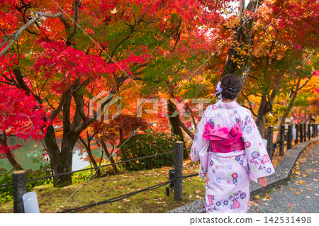 Japanese woman in pink kimono at Eikando garden with fall colors, Kyoto Japanese woman in pink kimono at Eikando garden with fall colors, Kyoto 142531498
