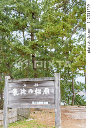 綠色公園的人行道 綠色公園的人行道 142531799
