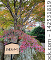 Ishinori Momiji 142531819