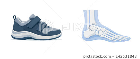Vsai medical orthopedic shoe with human foot anatomy skeleton Vsai medical orthopedic shoe with human foot anatomy skeleton 142531848