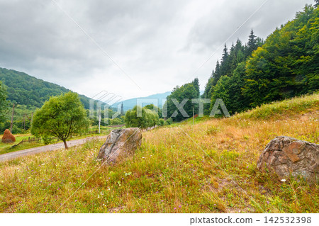 rural landscape. fence near road through field and forest to the high mountains. countryside scenery of ukraine in summer with overcast sky 142532398