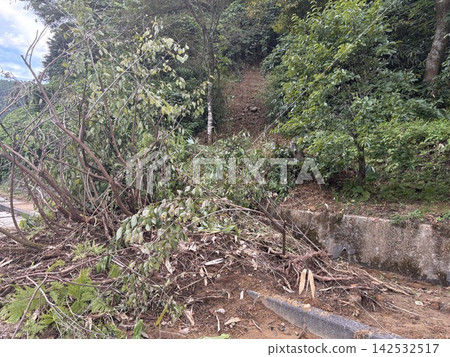 Heavy rain damage, landslides Heavy rain damage, landslides 142532517
