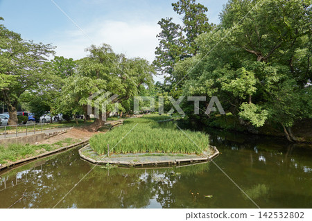 鶴岡公園:池塘與島嶼,鶴岡城遺址 鶴岡公園:池塘與島嶼,鶴岡城遺址 142532802