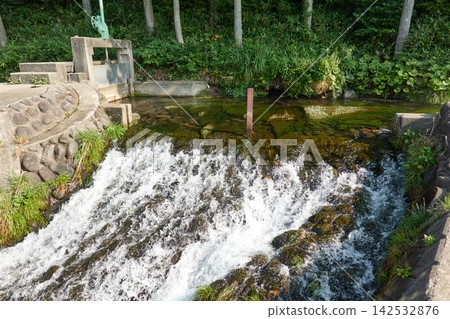 牛渡川,泉水堰,水質清澈。 牛渡川,泉水堰,水質清澈。 142532876