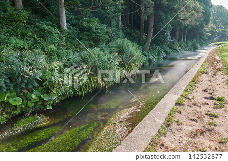 牛渡川,一條清澈的溪流,水毛茛花盛開,霧氣升騰。 牛渡川,一條清澈的溪流,水毛茛花盛開,霧氣升騰。 142532877