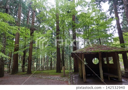 Urikiri Falls, gazebo in Meisui Park, moss and cedar grove Urikiri Falls, gazebo in Meisui Park, moss and cedar grove 142532940