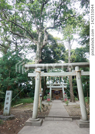 Ikisu Shrine, Inari Shrine, Fox Statues Ikisu Shrine, Inari Shrine, Fox Statues 142533044